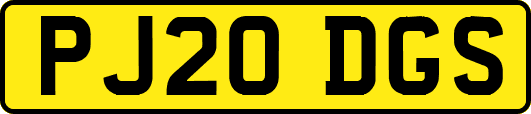 PJ20DGS