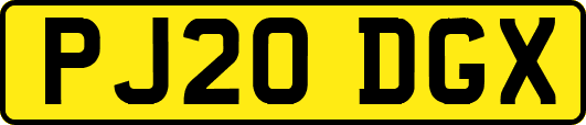 PJ20DGX