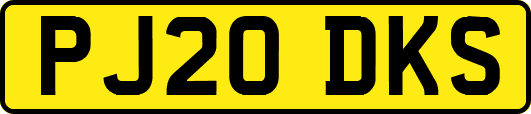 PJ20DKS