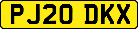 PJ20DKX