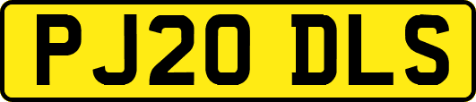 PJ20DLS