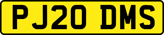 PJ20DMS