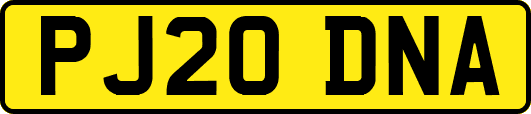 PJ20DNA
