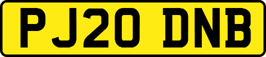 PJ20DNB