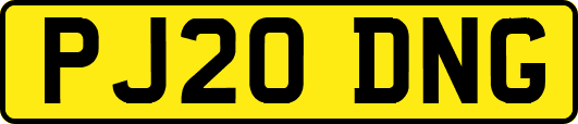PJ20DNG