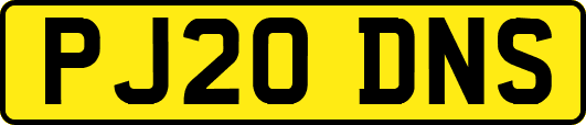 PJ20DNS