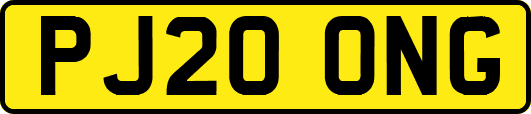 PJ20ONG