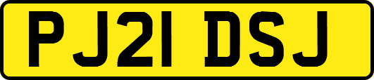 PJ21DSJ