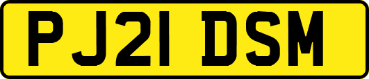 PJ21DSM