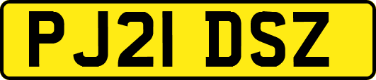 PJ21DSZ
