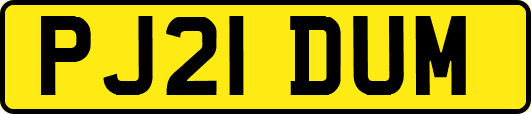PJ21DUM