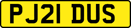 PJ21DUS