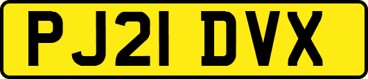 PJ21DVX