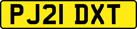 PJ21DXT