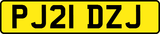 PJ21DZJ