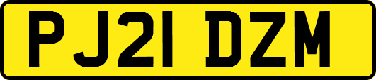 PJ21DZM