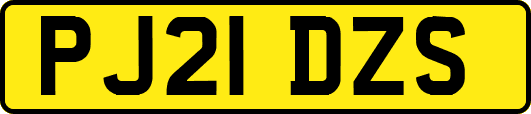 PJ21DZS