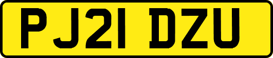 PJ21DZU