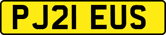 PJ21EUS