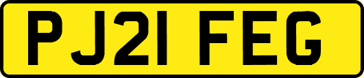 PJ21FEG