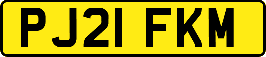 PJ21FKM