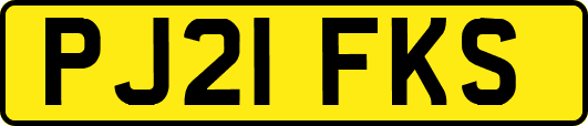 PJ21FKS