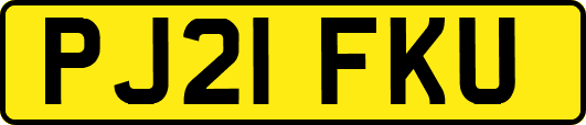 PJ21FKU
