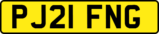 PJ21FNG