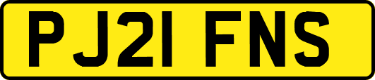 PJ21FNS