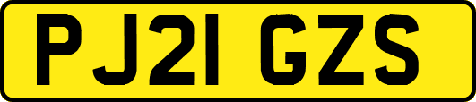 PJ21GZS