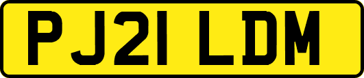 PJ21LDM