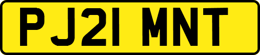 PJ21MNT