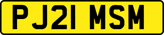 PJ21MSM