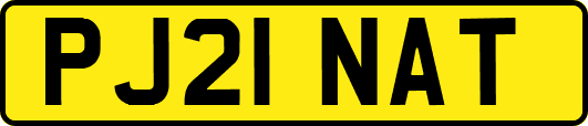 PJ21NAT