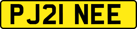 PJ21NEE