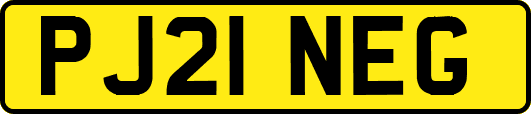 PJ21NEG