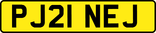 PJ21NEJ