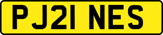 PJ21NES