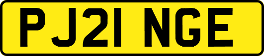 PJ21NGE