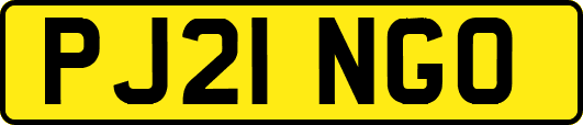 PJ21NGO