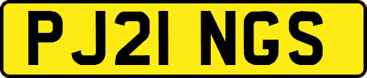 PJ21NGS