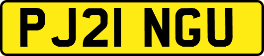 PJ21NGU