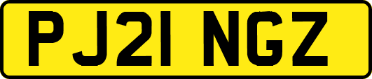 PJ21NGZ