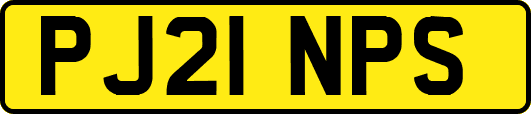 PJ21NPS