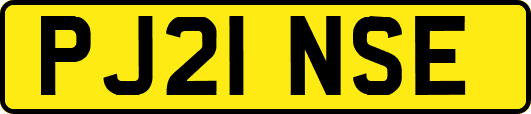 PJ21NSE