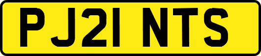 PJ21NTS