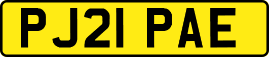 PJ21PAE
