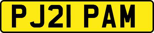 PJ21PAM