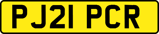 PJ21PCR