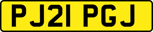 PJ21PGJ